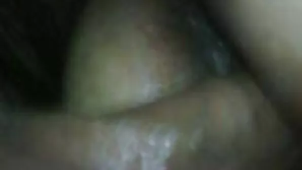 Kutt keppis kaks seksikat tüdrukut pargis pingil.